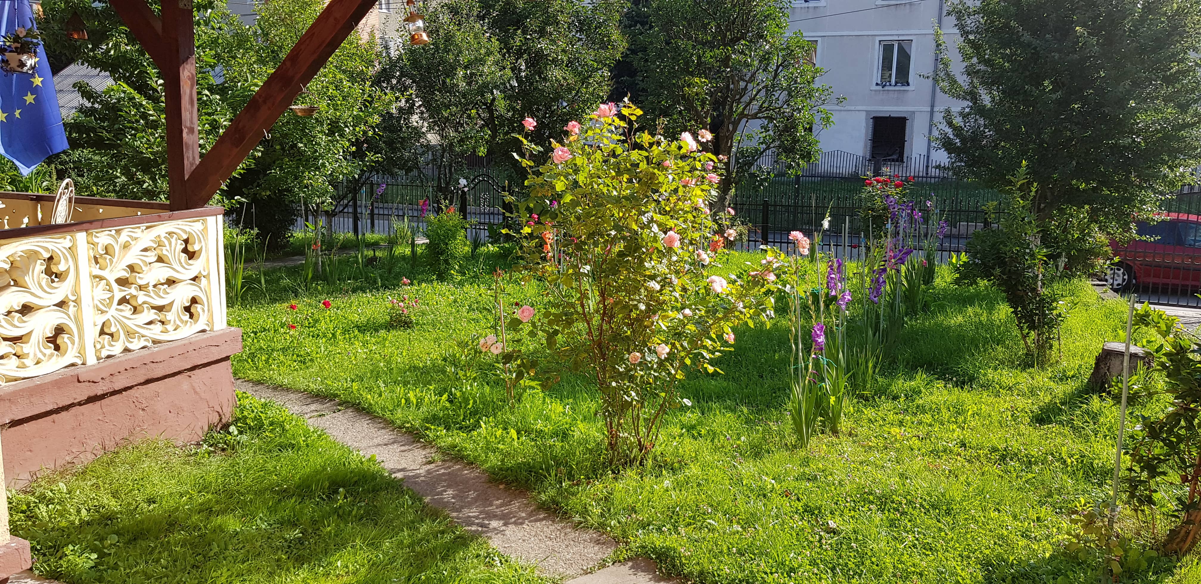Sunlit garden with green grass, a curved stone path, blooming pink roses, purple flowers, and trees, next to a porch with ornate railing and a hanging European Union flag.