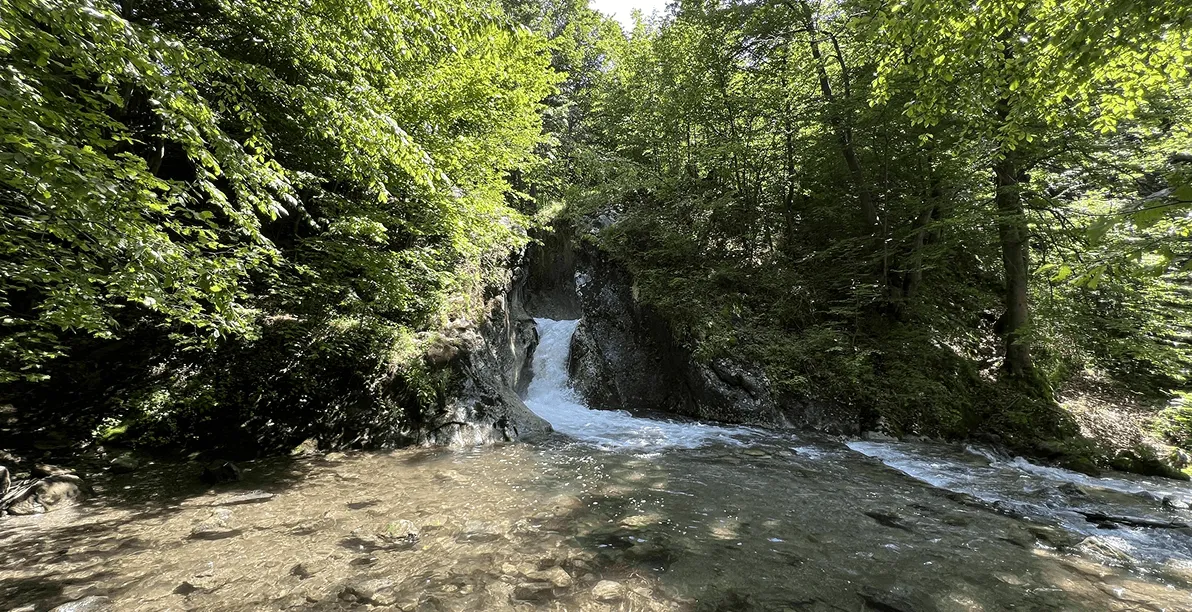 Small waterfall flowing through rocky terrain into a clear, shallow stream surrounded by lush green trees and foliage under sunlight.