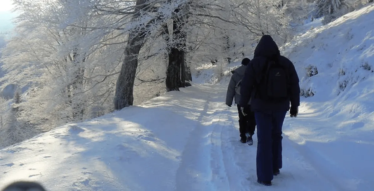 Two people walking on a snow-covered path through a winter forest with trees covered in snow.