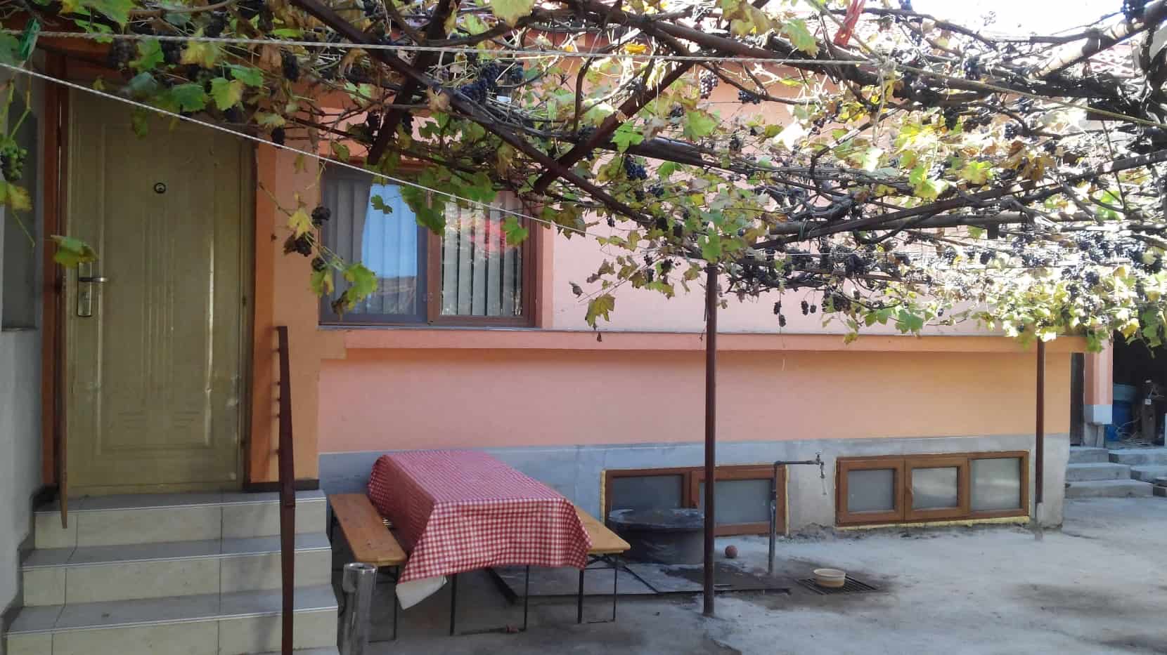 Outdoor courtyard with a peach-colored building, a metal entrance door with steps, a window, and a wooden picnic table covered with a red and white checkered tablecloth under grapevines with ripe grapes hanging from a trellis.